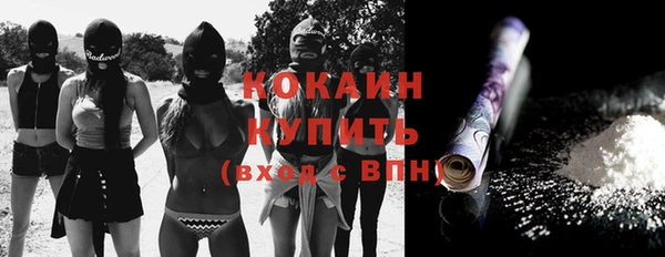 прущий лед Инсар