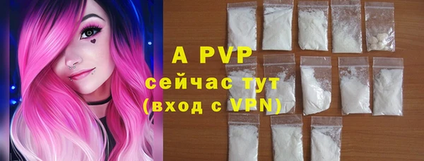 шишки Иннополис