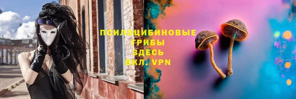 герыч Зерноград