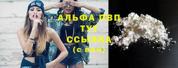 прущий лед Инсар